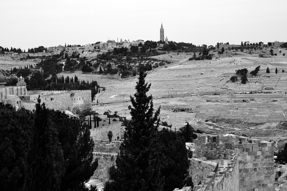 Mounts of Olive