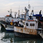 New Boats....