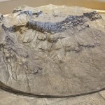 A model of the fortress