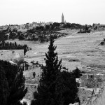 Mounts of Olive