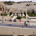 Archaeological Park - Not enough time to do it
