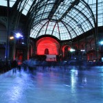 Patinoire au Grnad Palais - 2012