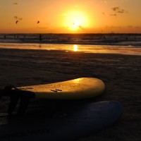 surfboard on sunset