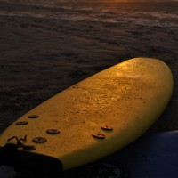 surfboard on sunset