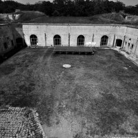 La cour