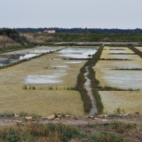 Vue générale sur le marais (vasais et métières)