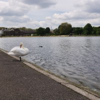 Londres - Kensigton
