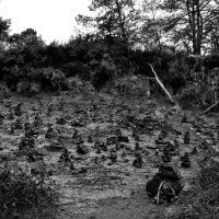 Land Art à proximité du site