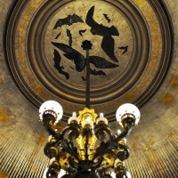Salon Lune