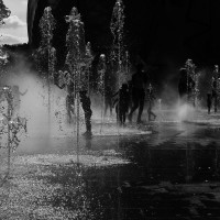 Jardin d