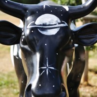La Cow Parade