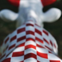 La Cow Parade