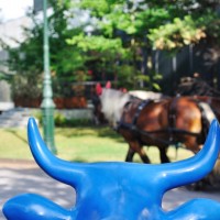 La Cow Parade