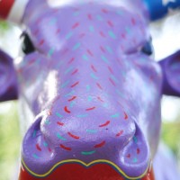 La Cow Parade