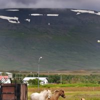 Blonduos - Islande