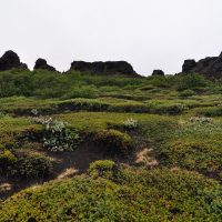 Dimmuborgir - Islande