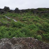Dimmuborgir - Islande
