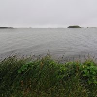 Pseudo-cratères à Skutustadir - Islande