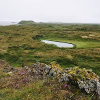 Pseudo-cratères à Skutustadir - Islande